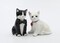 The Purr-fect Couple: Ceramic Valentine's Day Cats Salt And Pepper Shakers, Home Décor, Gift for Her or Mom, Kitchen Décor, Cat Lovers Gift